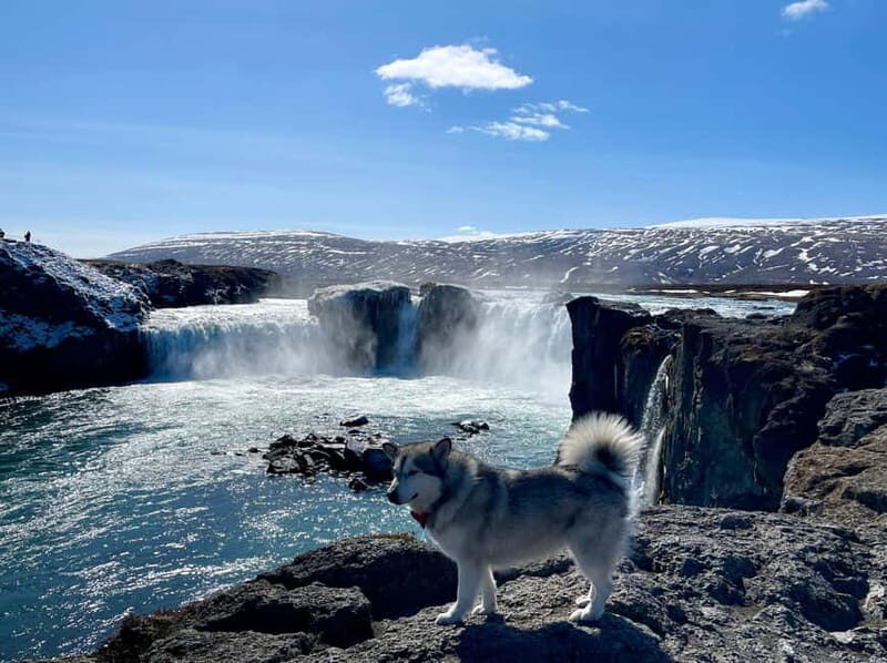 Godafoss, Laufás Museum & Akureyri Highlights Tour - Who Should Consider This Tour?