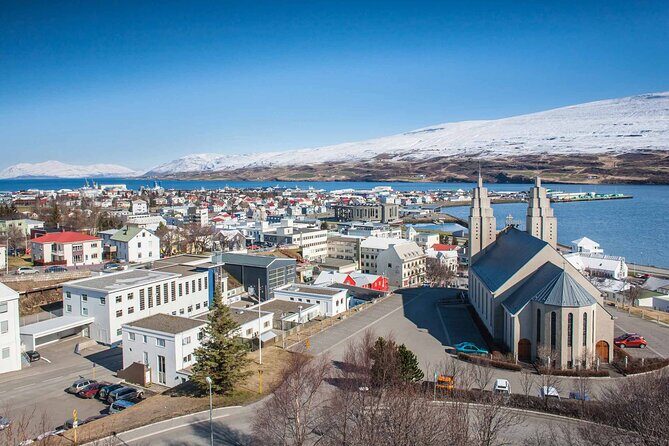 Goðafoss Waterfall from Akureyri Port - The Sum Up