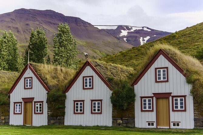 Godafoss Waterfall & Turf House Half-Day Tour from Akureyri Port - A Deep Dive into the Half-Day Iceland Adventure