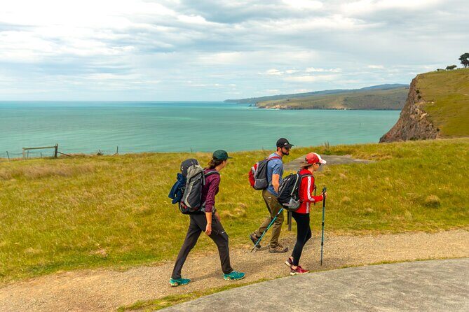 Godley Head & Lyttelton Scenic Drive & Guided Walk (Private Tour) - Exploring the Itinerary: From Lyttelton to Godley Head