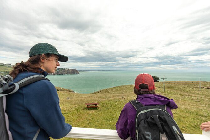 Godley Head & Lyttelton Scenic Drive & Guided Walk (Private Tour) - Who Is This Tour Best For?