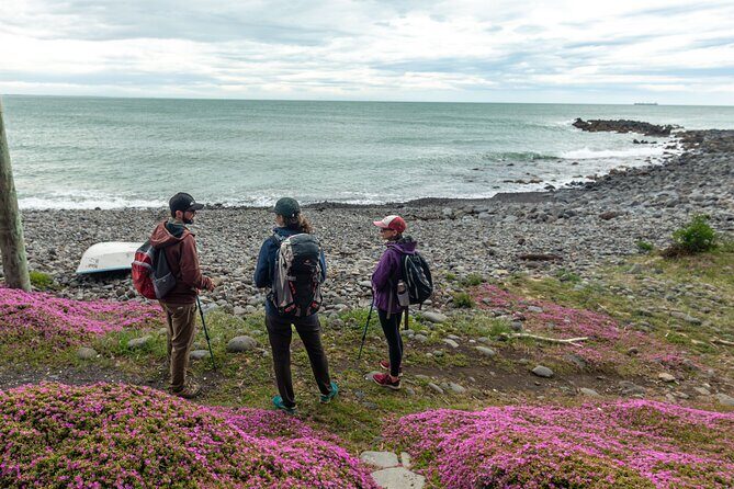 Godley Head & Lyttelton Scenic Drive & Guided Walk (Private Tour) - FAQ