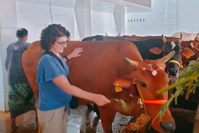 Gods of Mylapore walking tour- tourism ministry approved company - Authentic and Insightful