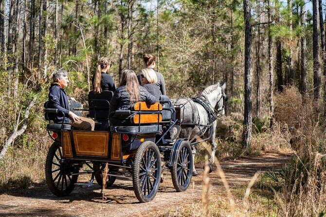 Goethe Forest Carriage Ride - Key Points