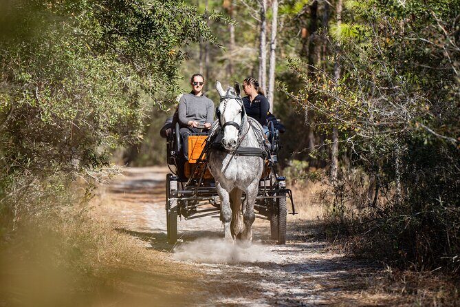 Goethe Forest Carriage Ride - FAQs
