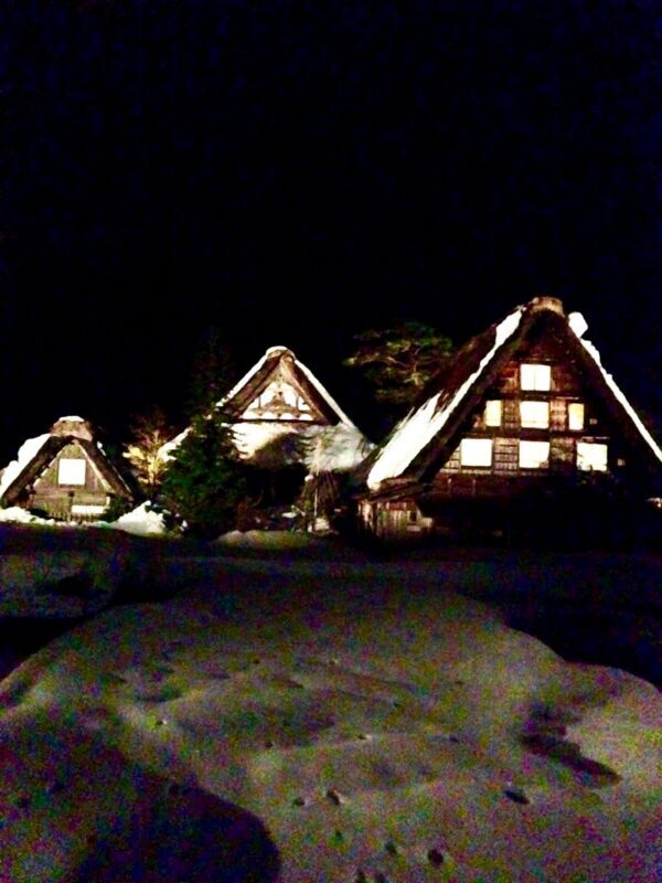 Gokayama Snow Light-Up, Bokka no Sato & Dinner Day Tour from Nagoya - What the language support does and does not cover