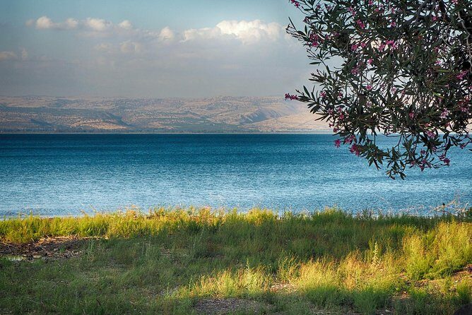 Golan Heights Biblical Day Trip from Tel Aviv - A Deep Dive into the Golan Heights Day Trip