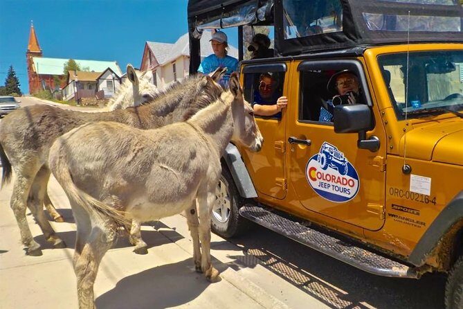 Gold Belt Scenic Byway Jeep Tour from Cañon City - Final Thoughts: Who Will Love This Tour?