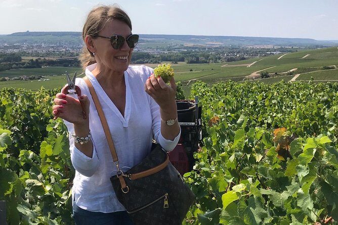 Gold Champagne Experience from Epernay (Private Full day tour) - FAQ