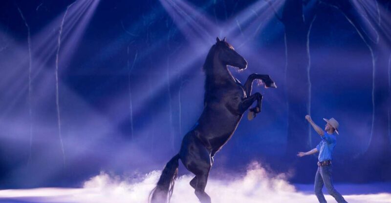 Gold Coast: Australian Outback Spectacular Dinner & Show - A Closer Look at the Australian Outback Spectacular
