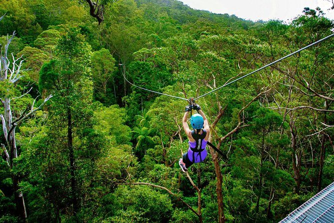 Gold Coast Canyon Flyer Zipline Tour - What Travelers Say