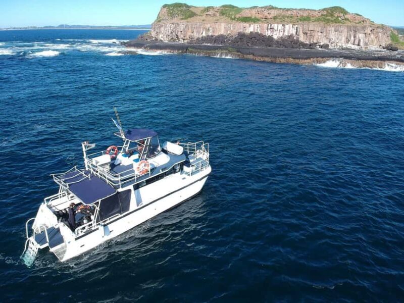 Gold Coast: Cook Island Marine Reserve Scuba Experience Dive - Key Points