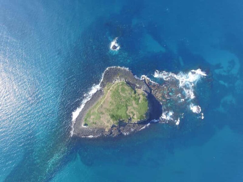 Gold Coast: Cook Island Marine Reserve Scuba Experience Dive - An In-Depth Look at the Cook Island Marine Reserve Experience