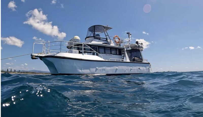 Gold Coast: Cook Island Marine Reserve Scuba Experience Dive - Frequently Asked Questions