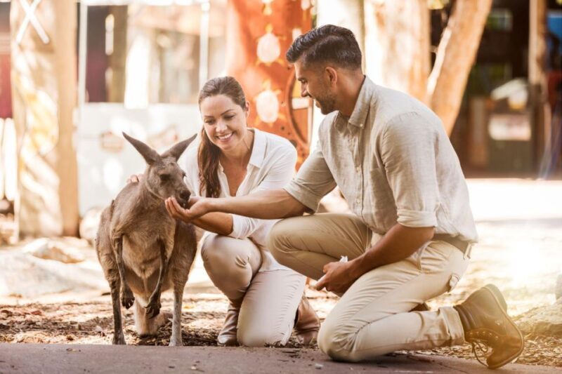 Gold Coast: Dreamworld 1-Day Entry Ticket - The Good and the Not-So-Good