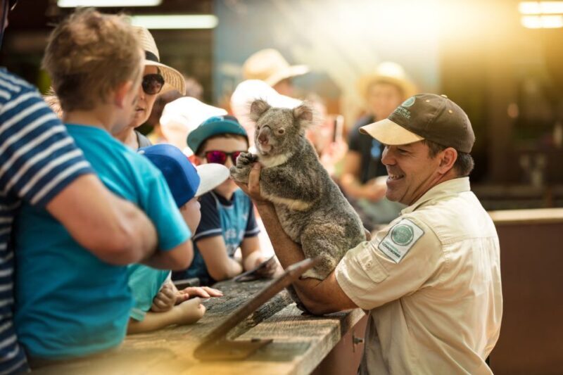 Gold Coast: Dreamworld & SkyPoint 2-Day Ticket - An In-Depth Look at the Gold Coast Experience