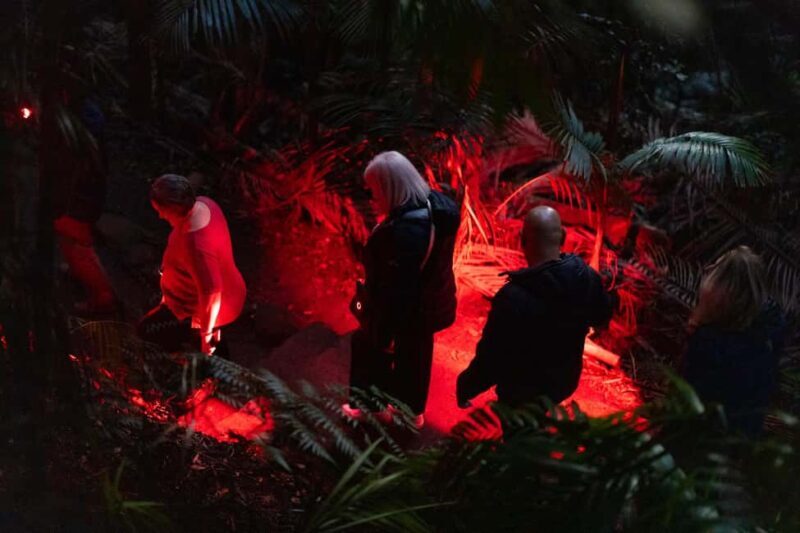 Gold Coast: Evening Rainforest and Glow Worm Experience - Final Thoughts