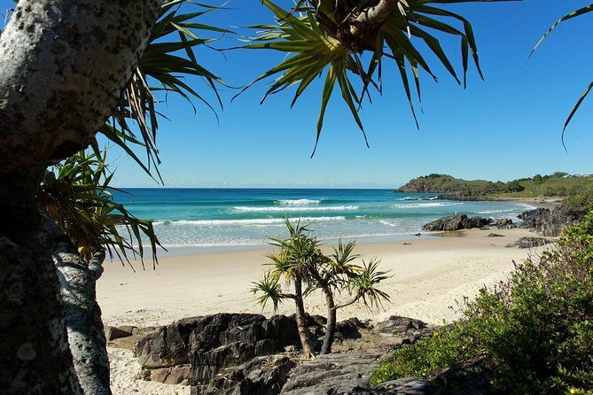 Gold Coast Full Day Learn To Surf Adventure - What Makes This Tour Stand Out?