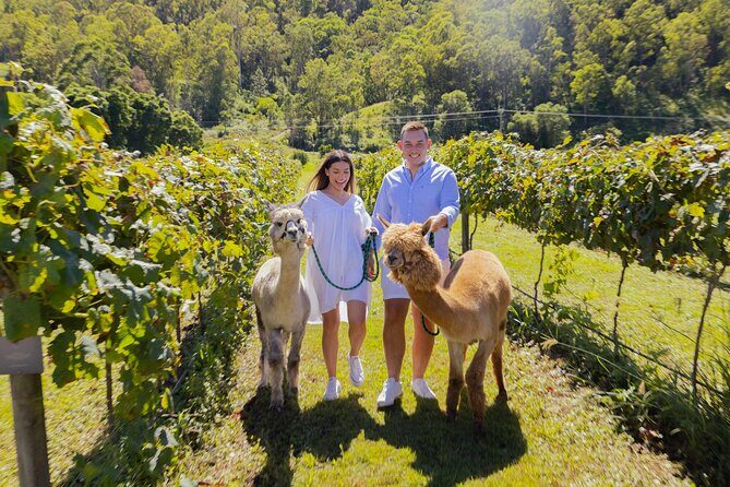 Gold Coast HotAir Balloon + Vineyard Breakfast + Transfers - Frequently Asked Questions