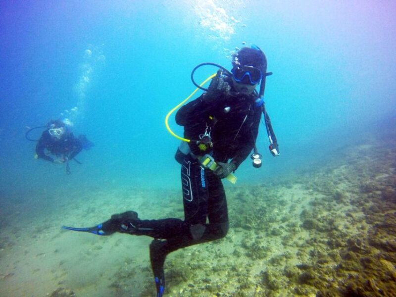 Gold Coast: Introductory SCUBA Diving Experience - Gold Coast: Introductory SCUBA Diving Experience