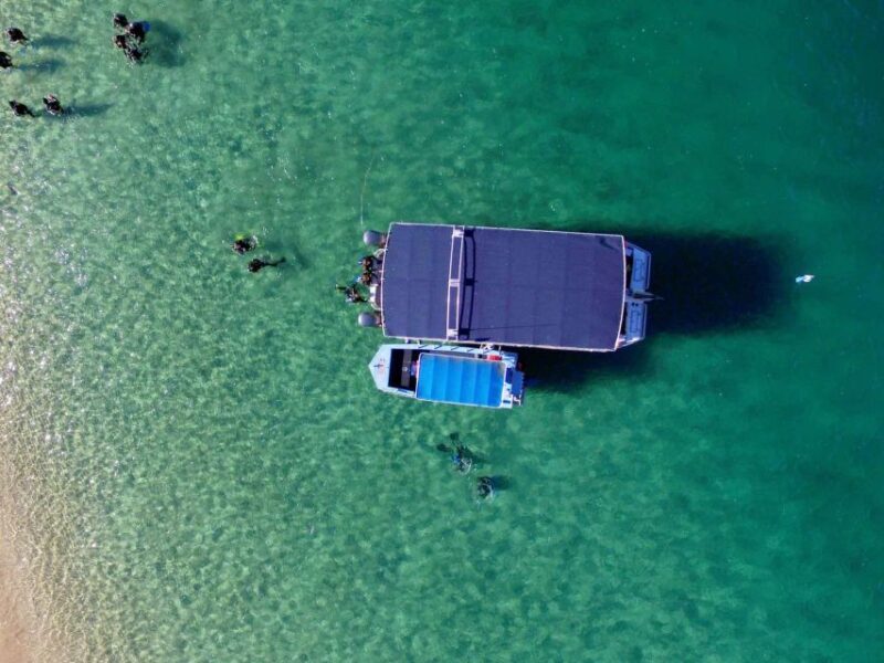 Gold Coast: Introductory SCUBA Diving Experience - Practical Tips and Considerations