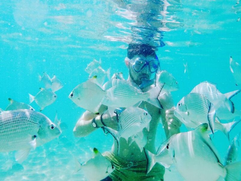 Gold Coast: Kayaking and Snorkeling Guided Tour - Why This Tour Offers Real Value