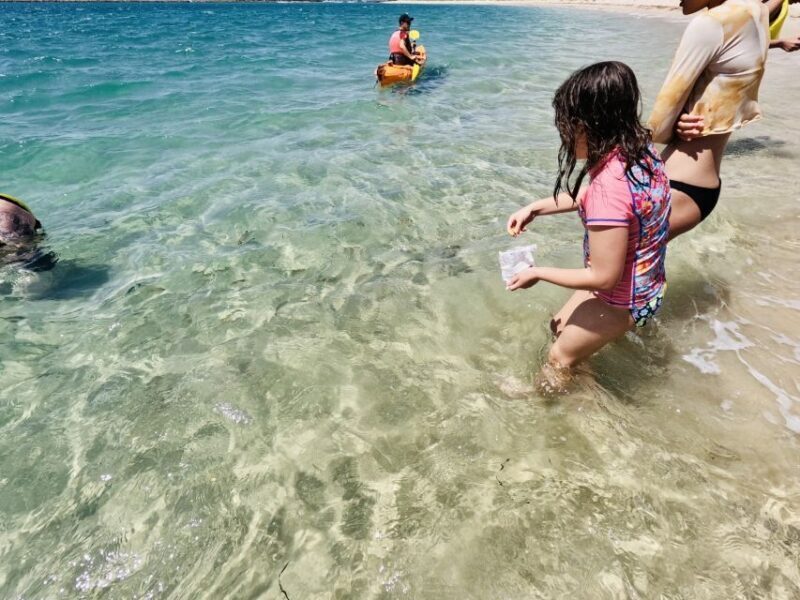 Gold Coast: Kayaking and Snorkeling Guided Tour - Potential Drawbacks