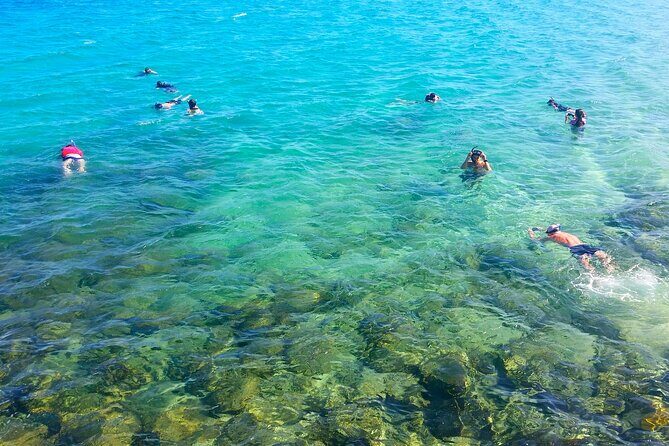 Gold Coast Kayaking & Snorkelling Tour (2.5 Hours) - Gold Coast Kayaking & Snorkelling Tour (2.5 Hours) – An Authentic Adventure on the Water