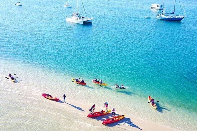 Gold Coast Kayaking & Snorkelling Tour (2.5 Hours) - Who Will Love This Tour?