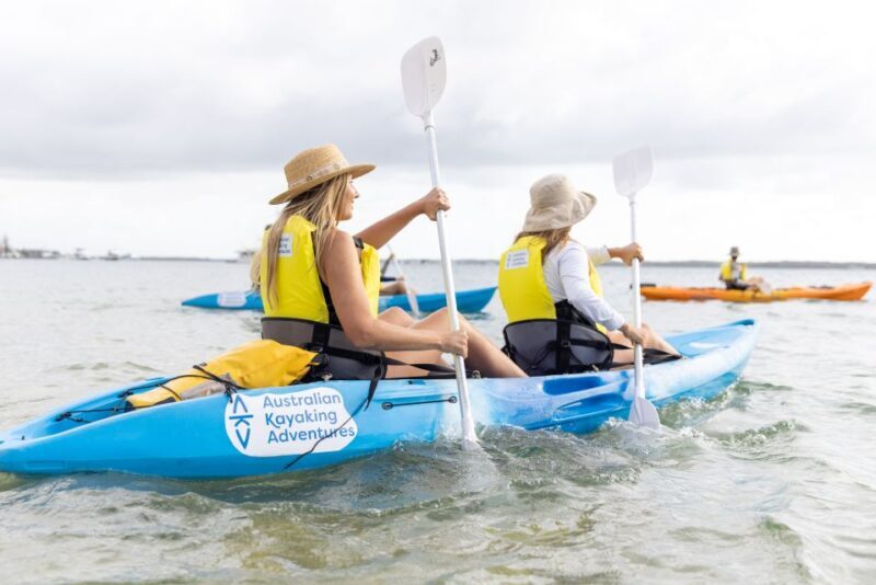 Gold Coast: Kayaking & Snorkelling Tour with Fish Feeding - The Details That Make It Special