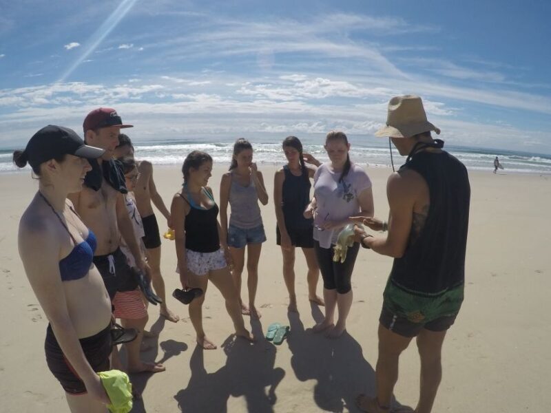 Gold Coast: Kayaking & Snorkelling Tour with Fish Feeding - Authentic Experiences from Travelers
