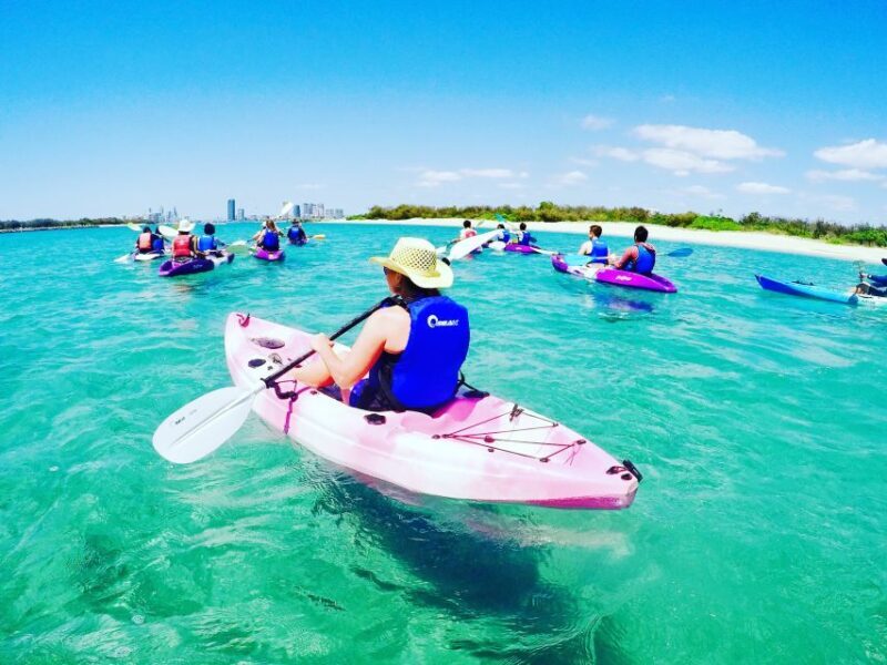 Gold Coast: Kayaking & Snorkelling Tour with Fish Feeding - FAQ