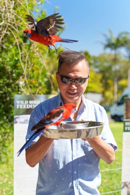 Gold Coast: Lamington Treetops, Wildlife and Vineyard Visit - An In-Depth Look at the Tour Experience