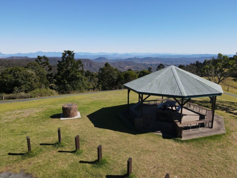 Gold Coast: Lamington Treetops, Wildlife and Vineyard Visit - Stories and Local Lore