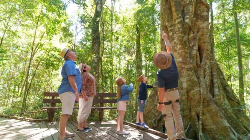 Gold Coast: Lamington Treetops, Wildlife and Vineyard Visit - Meeting the Animals