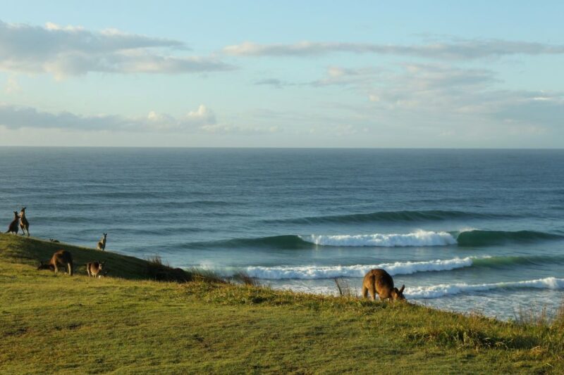 Gold Coast: Learn to Surf Experience with Lunch & Activities - In-Depth Review of the Full-Day Surf Experience