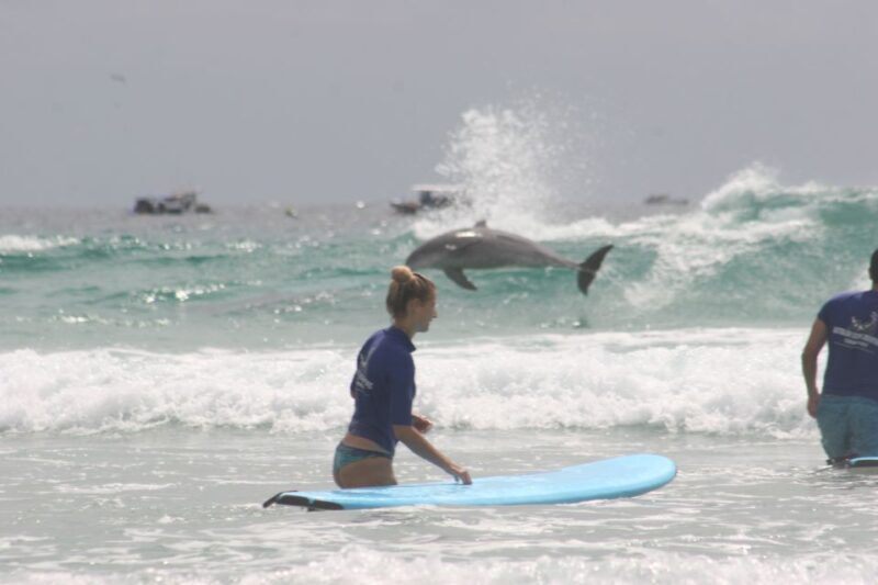 Gold Coast: Learn to Surf Experience with Lunch & Activities - Who Should Consider This Tour?