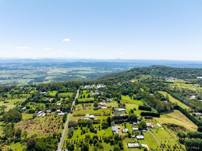 Gold Coast: Luxury Wine Tour with Gourmet Lunch & Distillery - Key Points