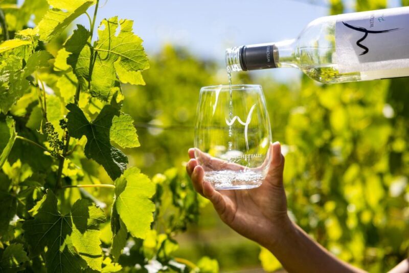 Gold Coast: Luxury Wine Tour with Gourmet Lunch & Distillery - Who Should Consider This Tour?