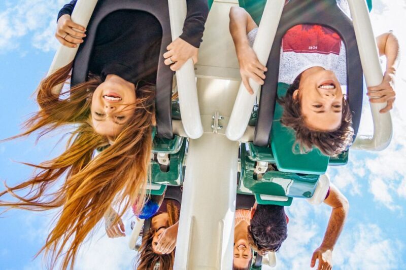Gold Coast: Movie World, Sea World & Wet'n'Wild 7-Day Pass - A Closer Look at the Experience
