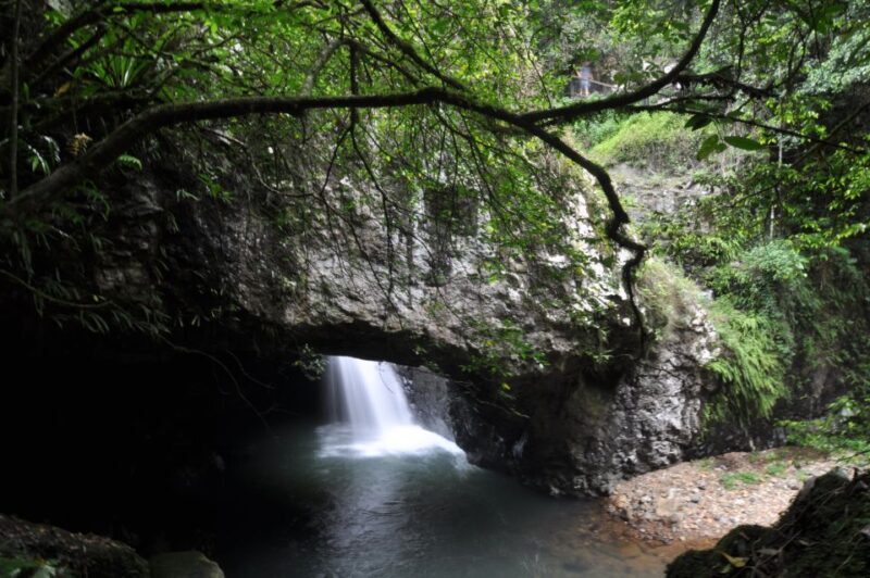 Gold Coast: Natural Bridge & Springbrook Waterfalls Tour - Gold Coast: Natural Bridge & Springbrook Waterfalls Tour Review