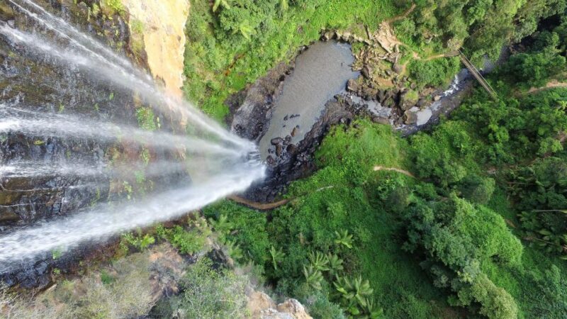 Gold Coast: Natural Bridge & Springbrook Waterfalls Tour - FAQ