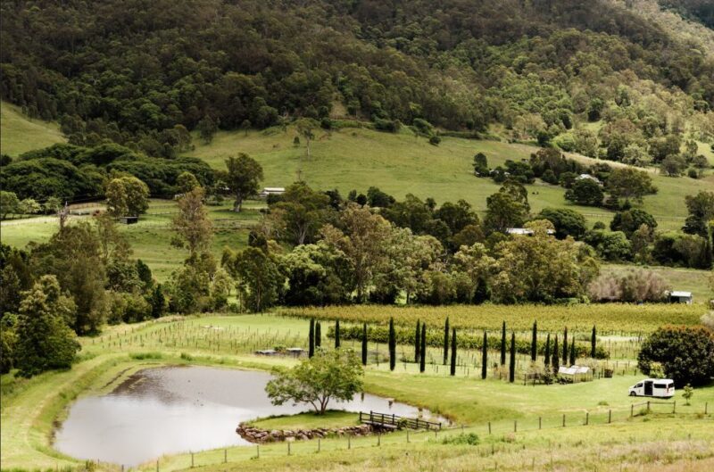 Gold Coast: Private Winery Tour in a New Luxury Vehicle - Who Will Love This Tour?