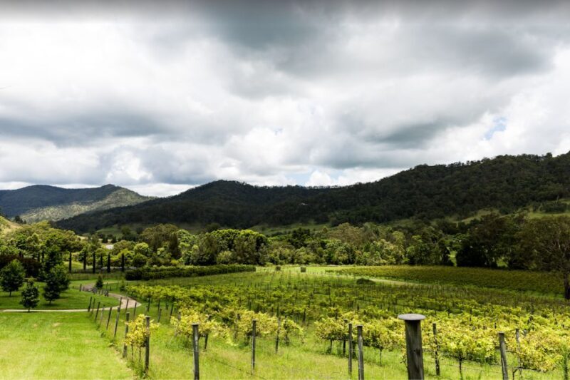 Gold Coast: Private Winery Tour in a New Luxury Vehicle - FAQ