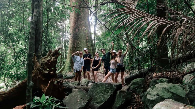 Gold Coast: Springbrook 7 Waterfalls and Natural Bridge Tour - An Authentic Day in Springbrook: What to Expect