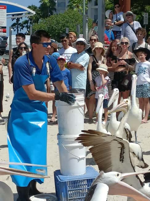 Gold Coast Surfers Paradise Private Tour from Brisbane - Key Points