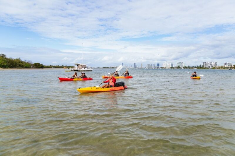 Gold Coast: Wave Break Island Kayaking & Snorkeling tour - What’s Included & What to Bring