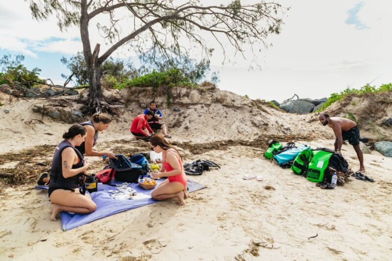 Gold Coast: Wave Break Island Kayaking & Snorkeling tour - The Sum Up: Who Will Enjoy This Tour?