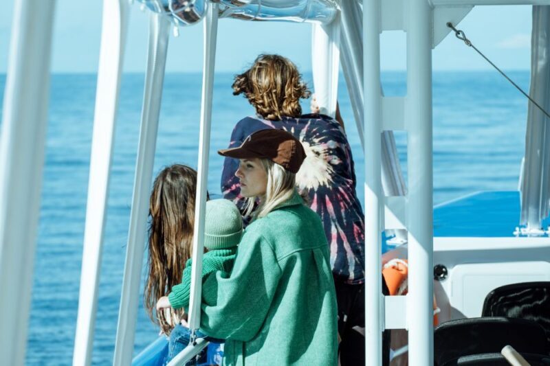 Gold Coast Whale Experience - An In-Depth Look at the Gold Coast Whale Experience