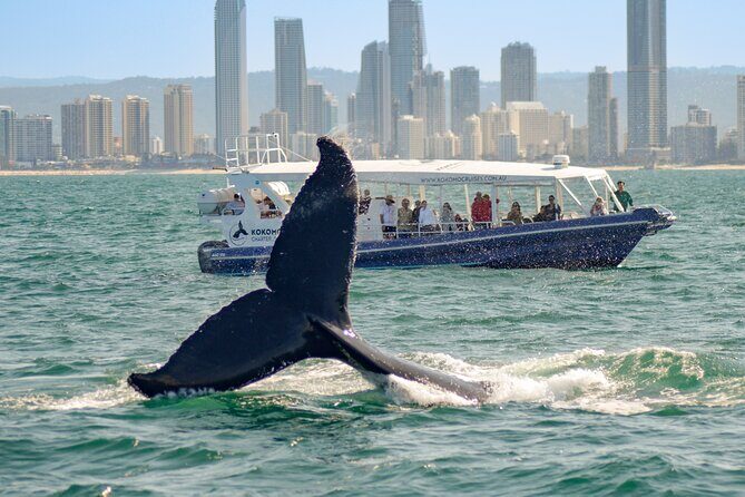 Gold Coast Whale Watching Cruise - Frequently Asked Questions